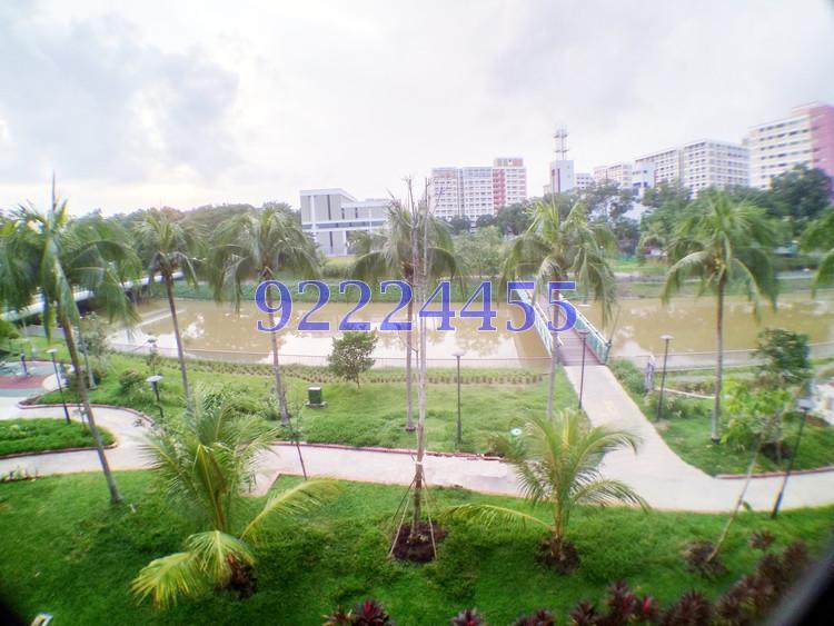 Blk 123 Pasir Ris Street 11 (Pasir Ris), HDB Executive #165081302